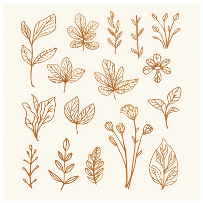 Coussins Botanical Line Art