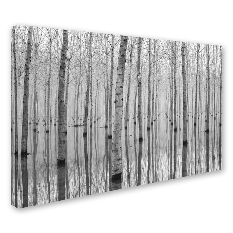 « novembre 2014 », reproduction de photo sur toile tendue, H 22 po x l 32 po