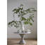 Macarthur Ilaria Vase-63732418