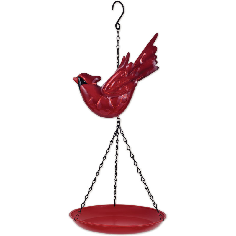 Cardinal bird feeder