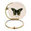 Lily May Gold Metal Picture Frame-1764429264