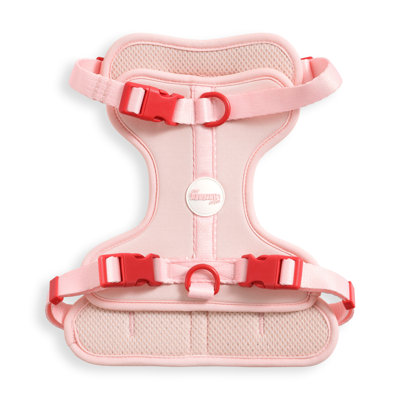 Arlo Adjustable Soft Padded No Pull Pet Harness with 3 Buckles and 3 Leash Clips