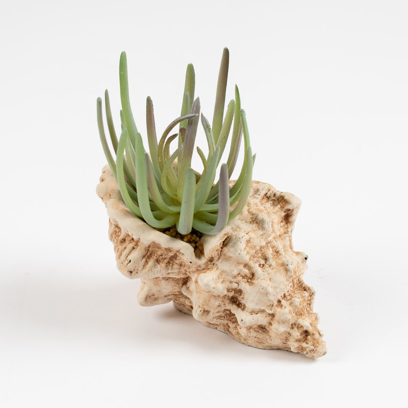 16cm Faux Succulent in Cement Shell