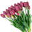 Tulip Arrangement