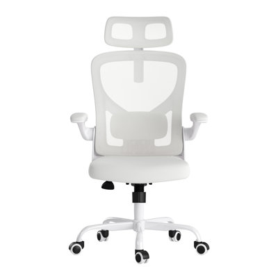 Ergonomic Office Chair with Adjustable Lumbar Support - High Back Mesh Desk Chair with 90° Flip-Up Armrests & 30° Rotatable Headrest for Home Office, Study Room - Black