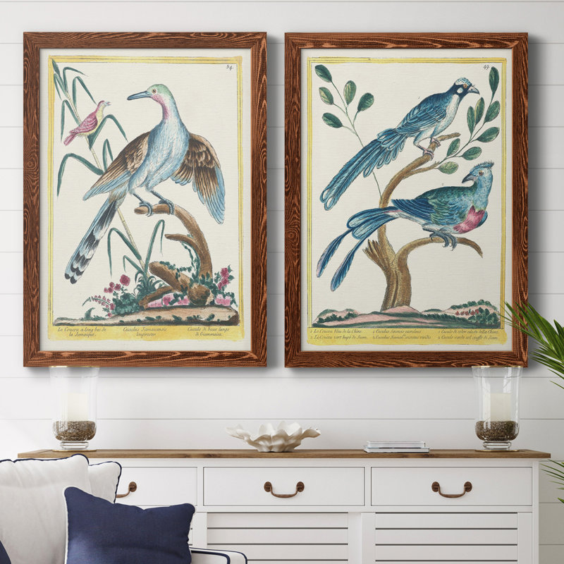 Toile encadrée Pastel Birds V Premium - prête à être accrochée, Toile encadrée noyer, H 24 po x l 36 po x P 1,5 po