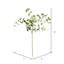 43'' Faux Branch