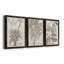 «Sepia Exotic Plants IV», ensemble de 3 peintures sur toile encadrées-595440734-595440737