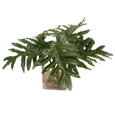 Philodendron plante en vase décoratif