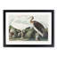 White Ibis Bird & Lobster by John Audubon - Framed Print-55612803-55612808