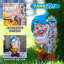 Welcoming Gnome Statue: Garden Elegance in Weather-Resistant Design