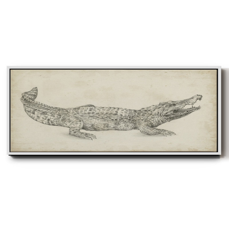 Croquis de crocodile - toile encadrée, H 20 po x l 50 po