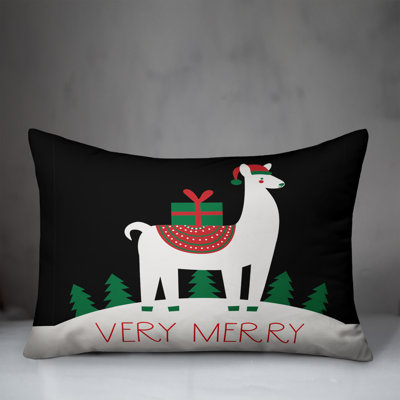  Rectangular Pillow Cover & Insert