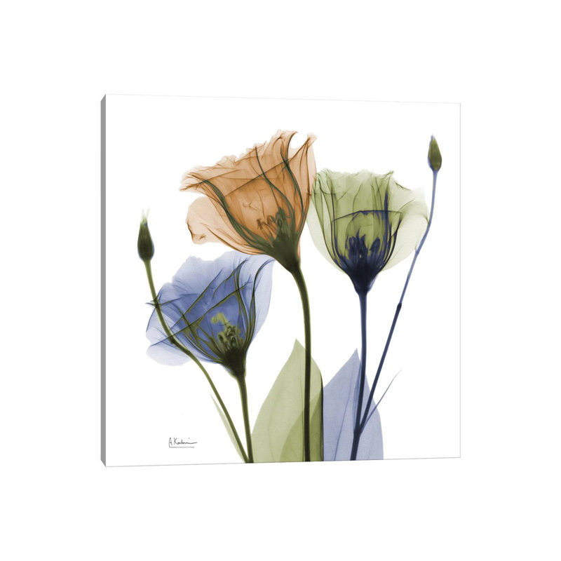 Gentian Buddies by Albert Koetsier - Wrapped Canvas Painting, 30.48 cm H x 30.48 cm W
