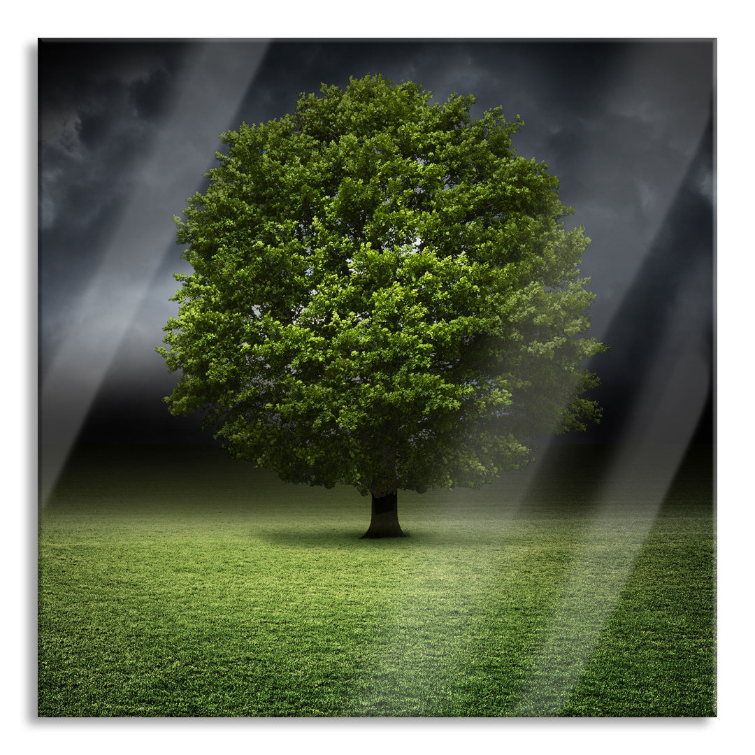 Glasbild Einzelner Baum auf grüner Wiese