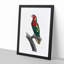 Blue Headed Lorikeet by F. Levaillant - Picture Frame Graphic Art Print-55544206-55544205