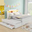 Lit plateforme de taille blanche avec rangement, tête de lit à DEL et lit gigogne simple, 3 tiroirs en bois massif robuste et rangement de rangement pour chambre à coucher, tête de lit et lit gigogne-825515156