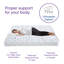 Alwyn Home Winsor Plush Innerspring Mattress-1020216689