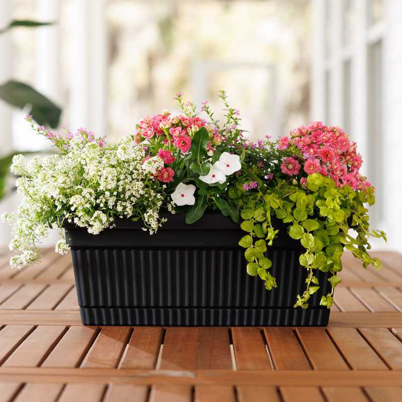 Boîte à fleurs en plastique avec plateau à soucoupe Vaneka, Noir, noir, noir, noir