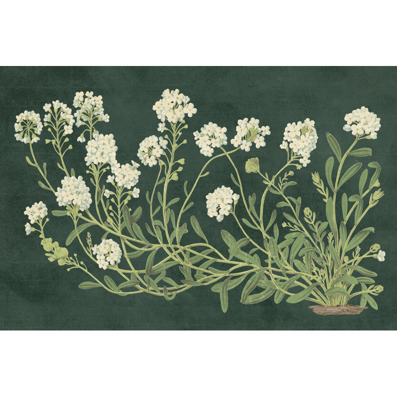 Fleurs rétro sur fond vert - imprimé, Oui, Impression encadrée, H 24 po x l 36 po x P 1,25 po, Noir
