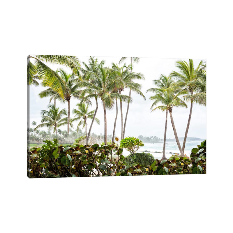 After The Dorado Rain by Golie Miamee - Wrapped Canvas Print, 20.32 cm H x 30.48 cm W