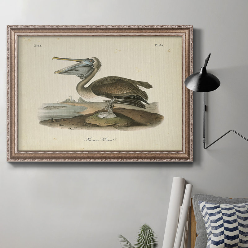 «Brown Pelican» par John Audubon - peinture sur toile encadrée, H 18 po x l 27 po, Cadre argent antique