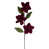 Dark Red