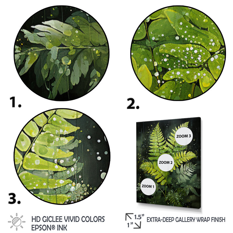«Tattersall Ferns Plant Timeless Elegance I», reproduction sur toile, H 32 po x l 16 po x P 1 po, Cadre flottant noir