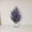 Lavender in White Planter