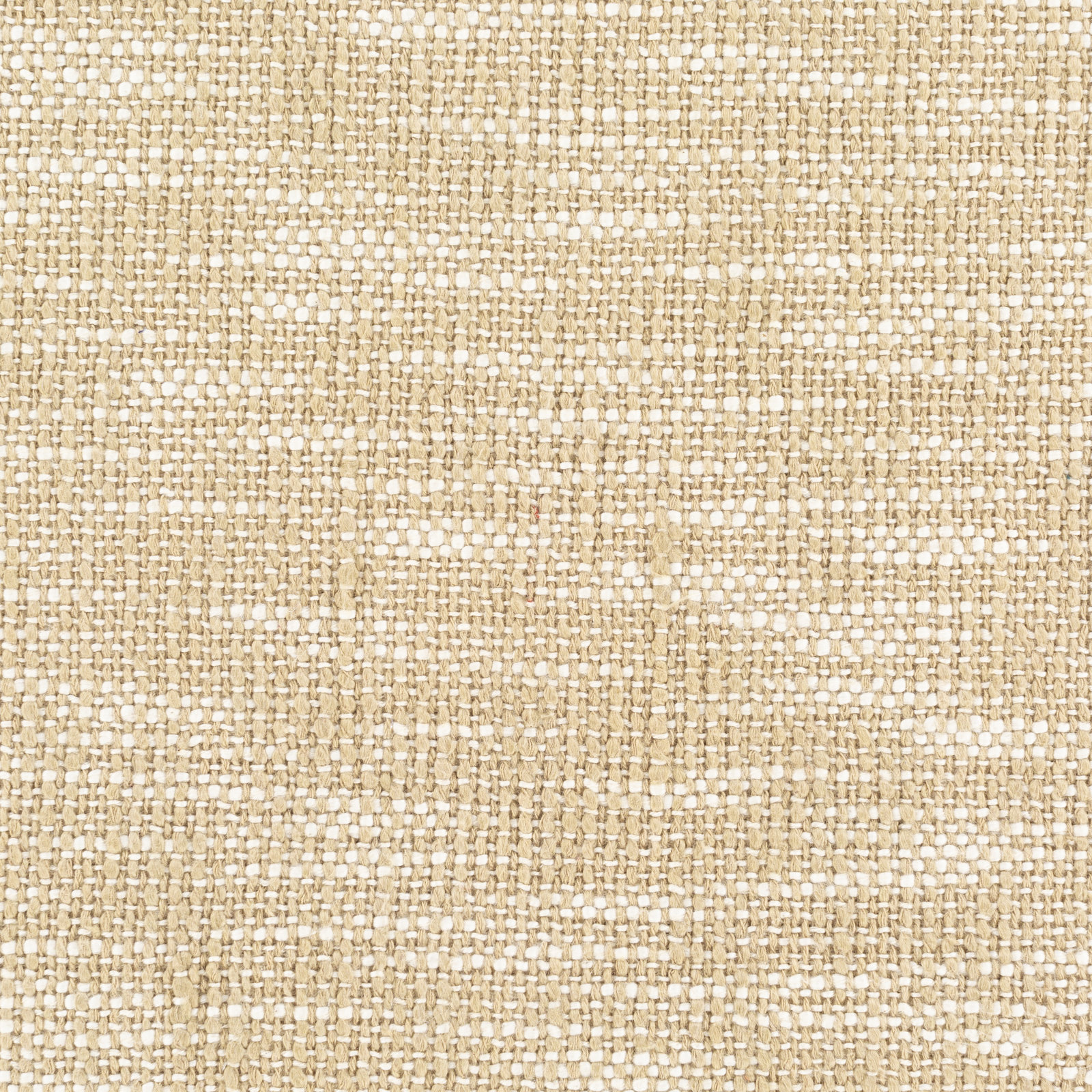Alta Cotton Throw Pillow, 20" x 20", Pillow Cover Only - No Insert