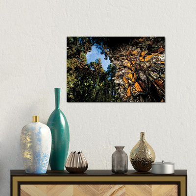 Millions Of Monarch Butterflies Roost On The Sierra Chincua Near Angangueo, Mexico I 1 Piece Wrapped Canvas Wall Art