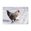 No Frame Print on Canvas-752272515