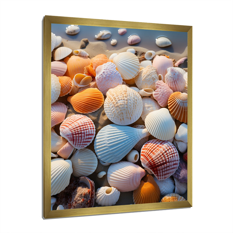 «Beach Photo Sunlit Shells II», reproduction sur toile, L 12 po x H 20 po, Encadrement doré