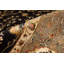 Oriental Area Rug-52683308