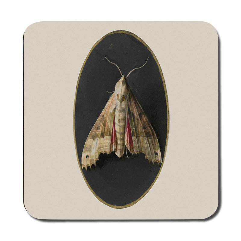 Beige Moth Artwork Placemat And Coaster Set With Circular Black Frame