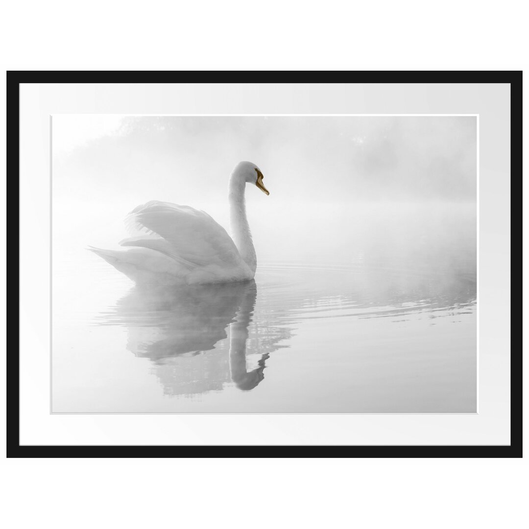 Gerahmtes Poster Schwan im Morgennebel