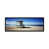 Toile avec cadre noir