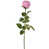 Rose est en rupture de stock