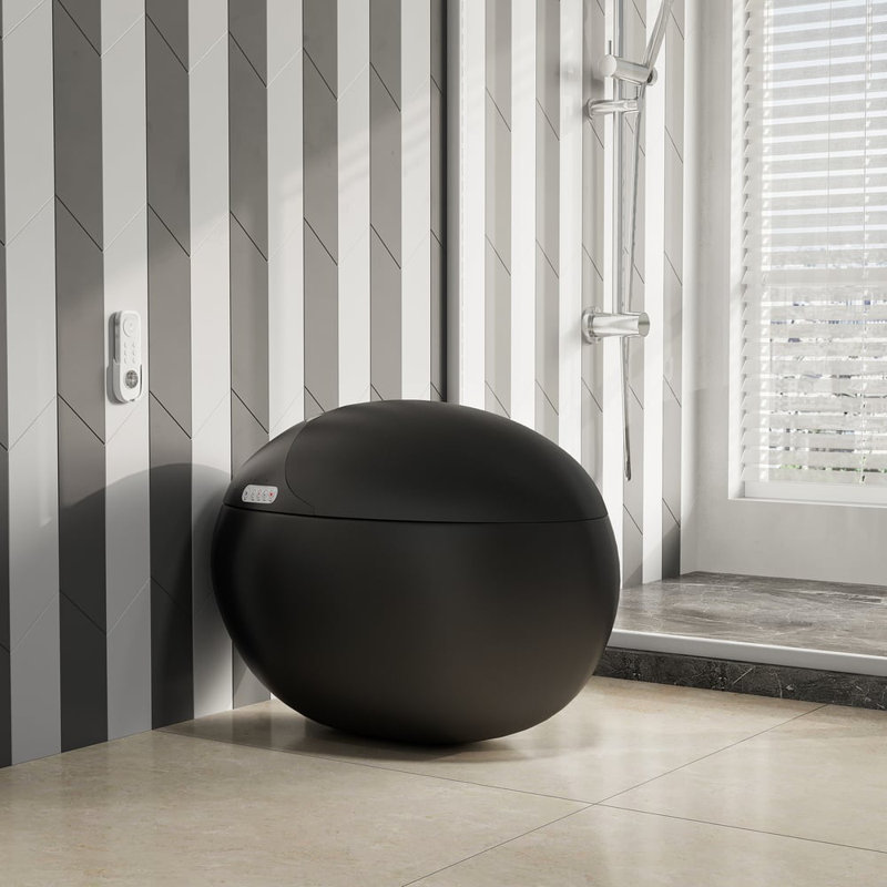 Egg-Shaped Smart Bidet Toilet With Multi-Function Wand 1.28Gpf, Black