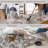 Long Hallway Rug – Non-Slip Washable Kitchen Floor Rug with Rubber Backing, Modern Low Pile Thin Wide Carpet for Bedroom, Entryway Indoor (Brown Beige)-871908013
