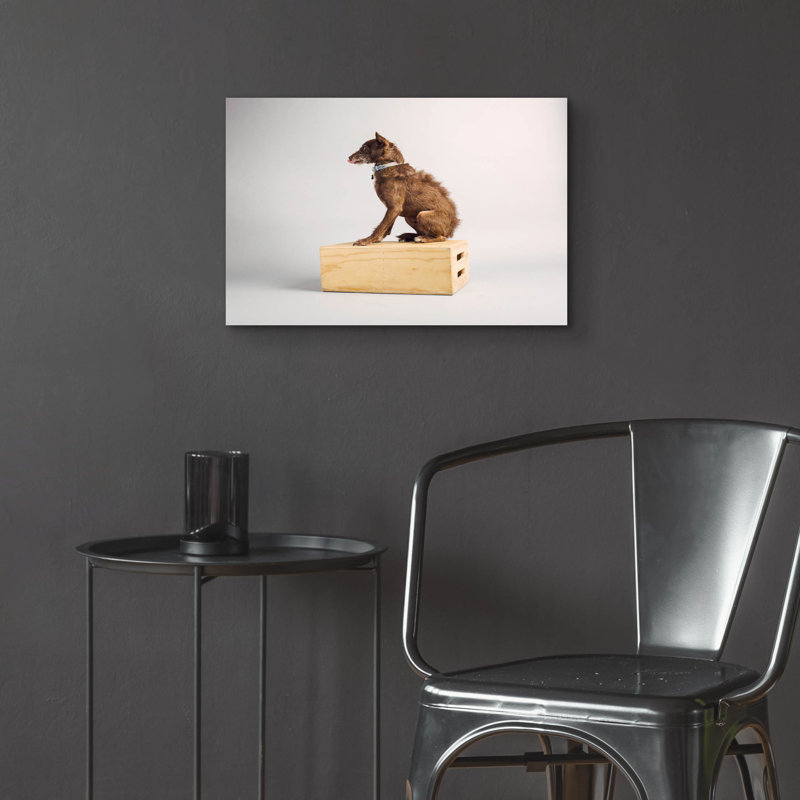 «Side Eye» par Susan Sabo, H 16 po x l 24 po x P 0,2 po