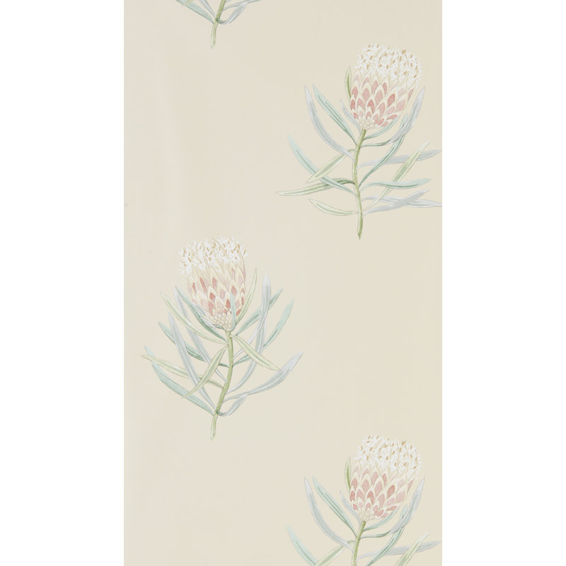 Protea Flower, Taupe/Green/Red