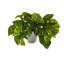 Plante artificielle 9 po en pot