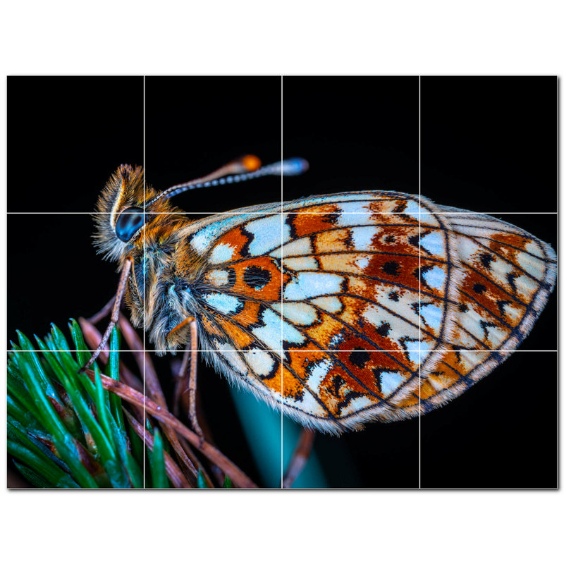 Murale décorative en céramique 8 po x 8 po Butterfly Photo