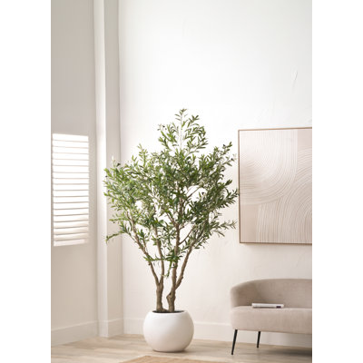 250cm Faux Tree in Cement Pot