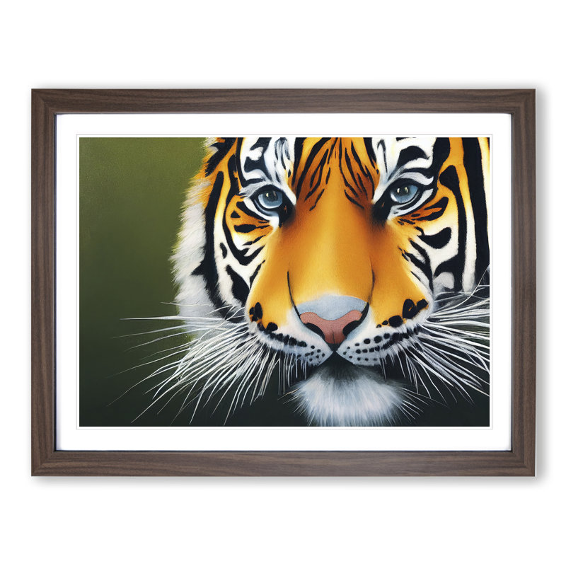 Amazing Tiger - Framed Print, 46cm H x 64cm W x 2cm D, Walnut Framed