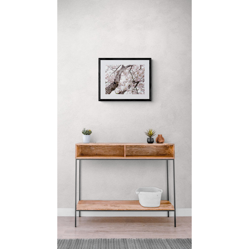 Cherry Blossom Burst Print by Catherine Johns, Black Framed Canvas, 24" H x 32" W