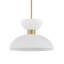 Zevio 1 - Light Pendant