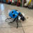 Small Blue Lady Bug Over Sized Insect Statue