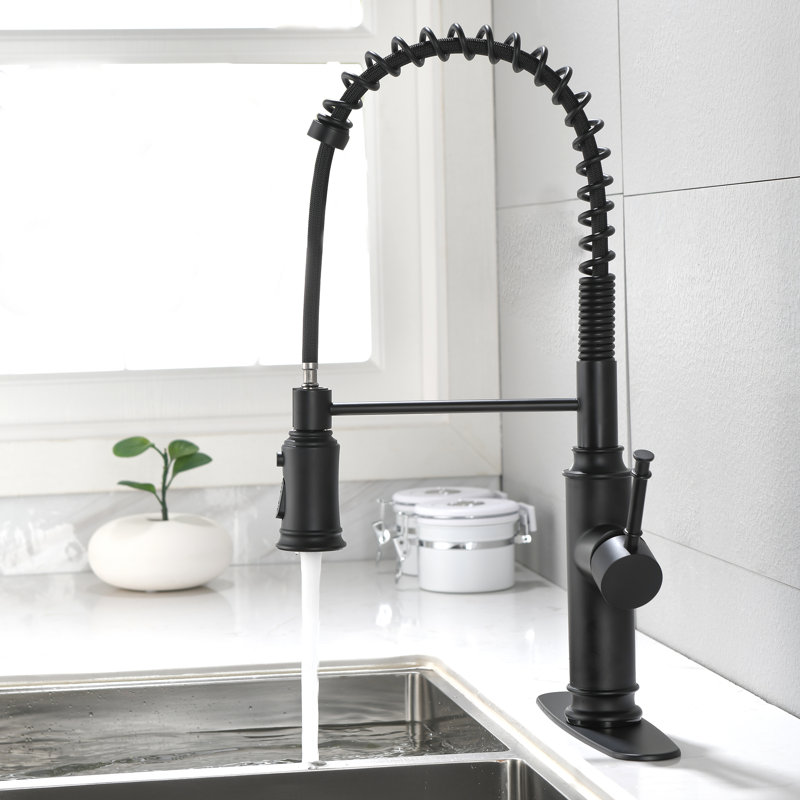 Aodisman Pull Down Kitchen Faucet